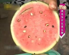 适合跑步身体竞赛3D  第3张