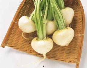 怎么样才能不当社畜:妻子的故事  第3张