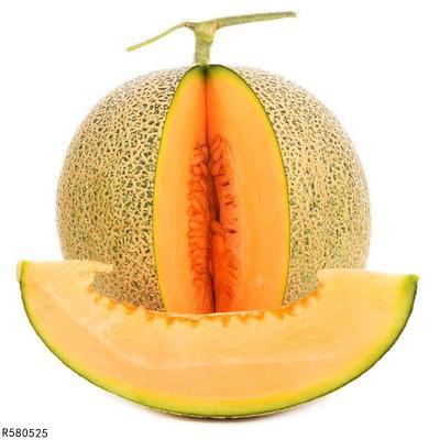 哈密瓜影视  第2张