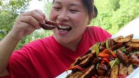 黑料吃瓜网apk普通安装 