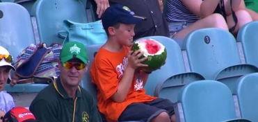 slipboy滑行男孩中文版2024  第1张