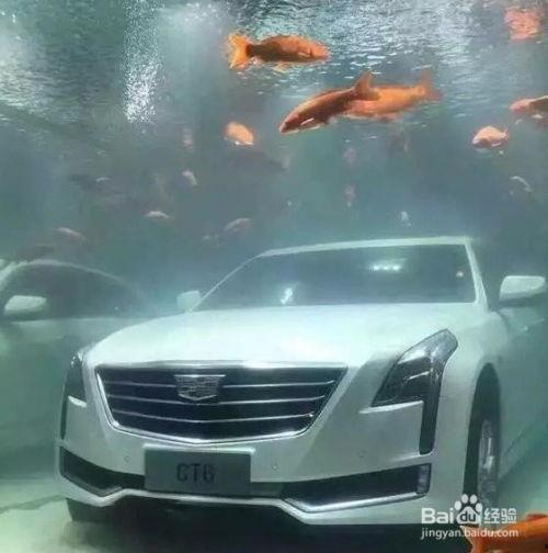 黑料吃瓜网apk普通安装  第2张